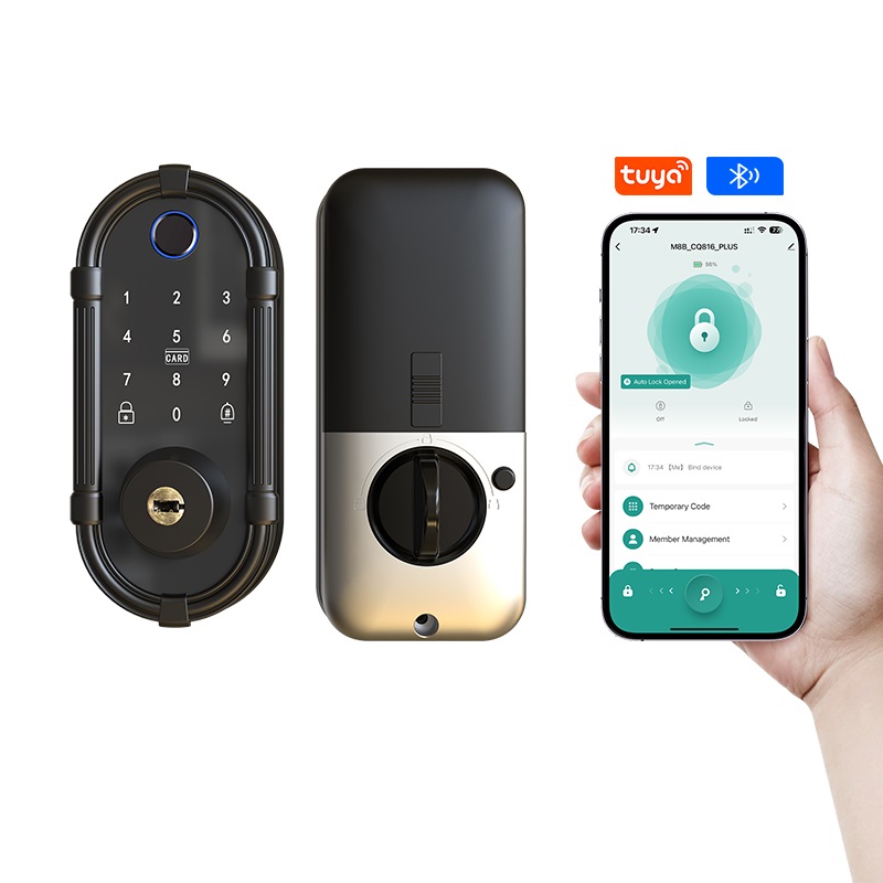 Cerradura Inteligente para Pue - Smart Door Lock Wifi reseña y precio