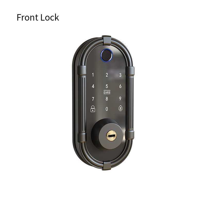 Cerradura Inteligente para Pue - Smart Door Lock Wifi reseña y precio