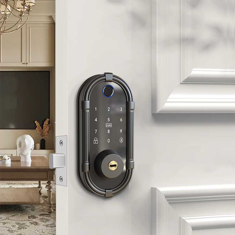 Cerradura Inteligente para Pue - Smart Door Lock Wifi reseña y precio